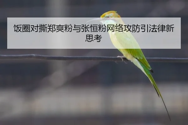 fan-quan-dui-si-zheng-shuang-fen-yu-zhang-heng-fen-wang-luo-gong-fang-yin-fa-lv-xin-si-kao-2-671.jpg